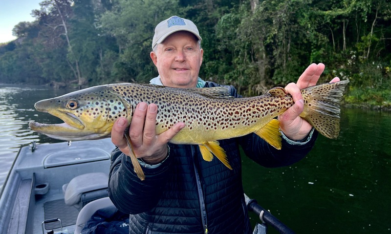 Low Water Trophies
